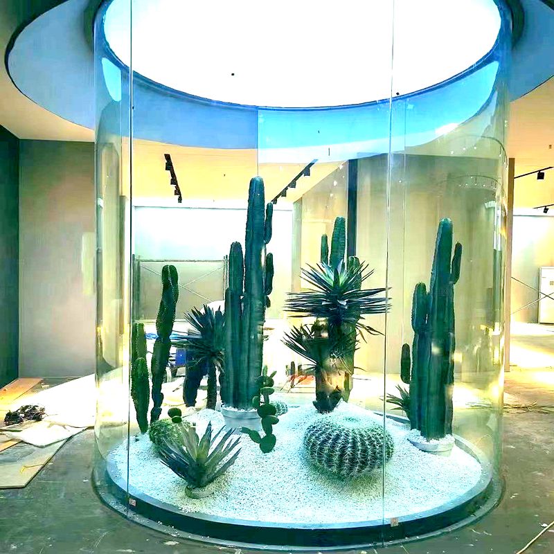 Cactus Cactus