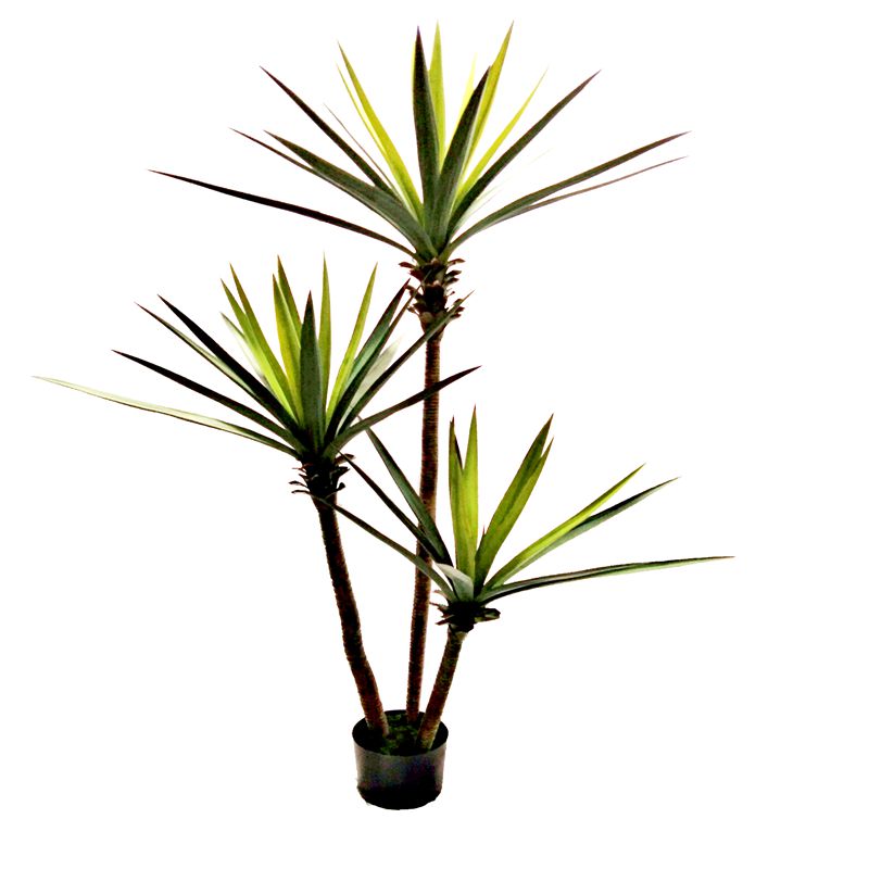 sisal sisal