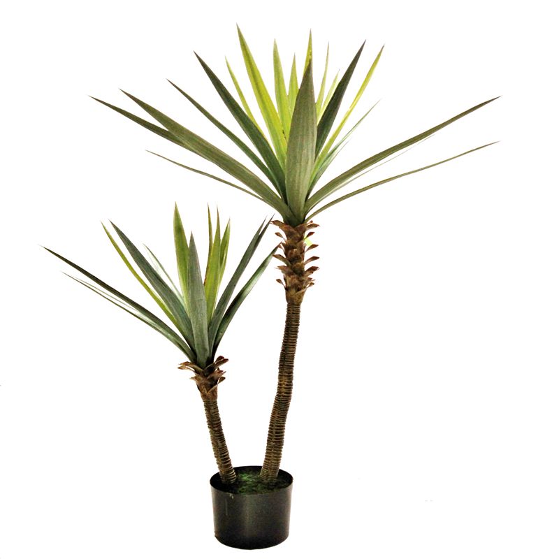 sisal sisal