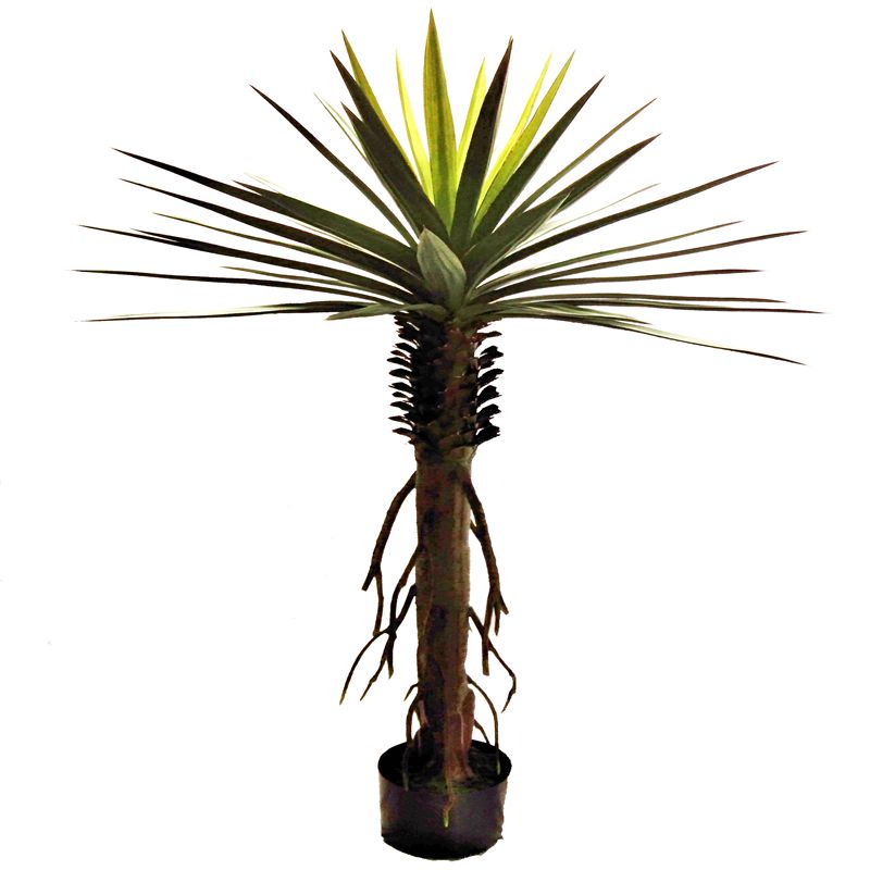 sisal