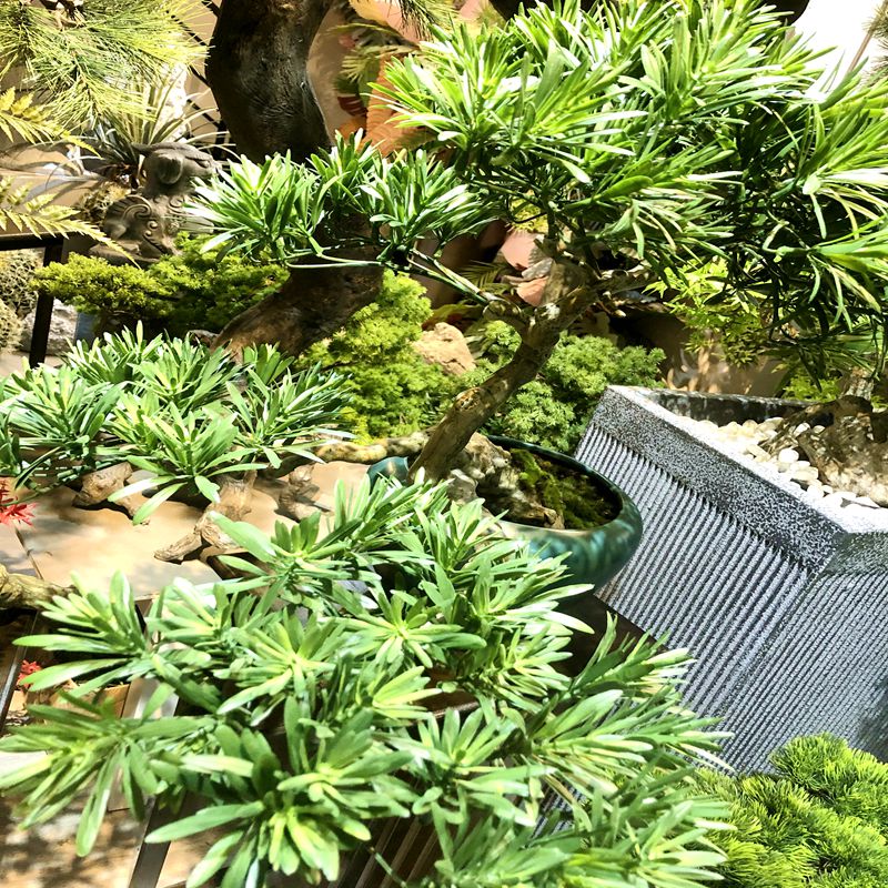 Pine needle