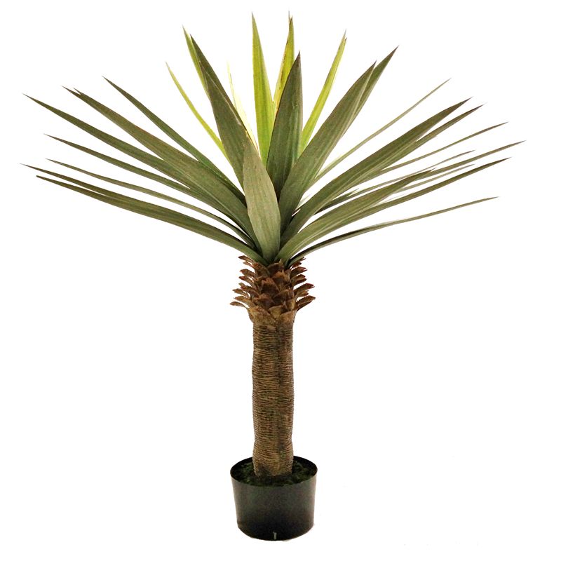sisal sisal