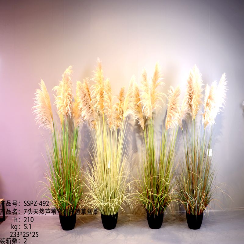 Simulation reed