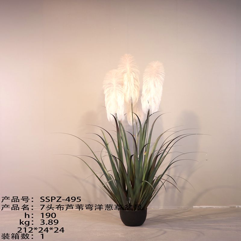 Simulation reed Simulation reed