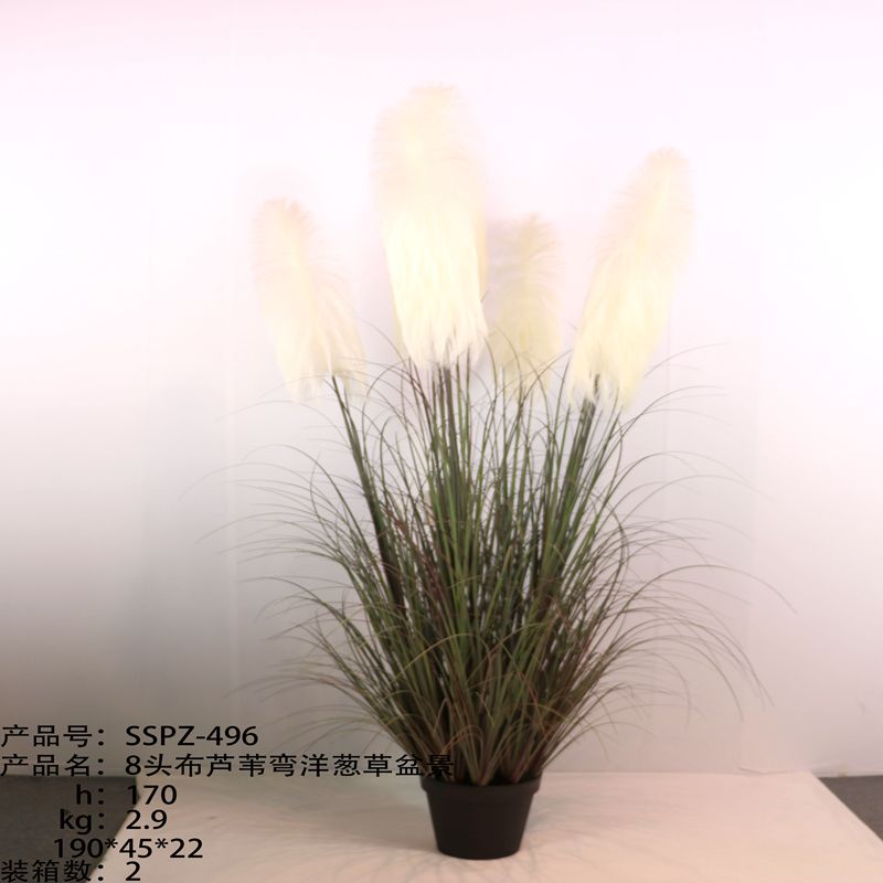 Simulation reed Simulation reed