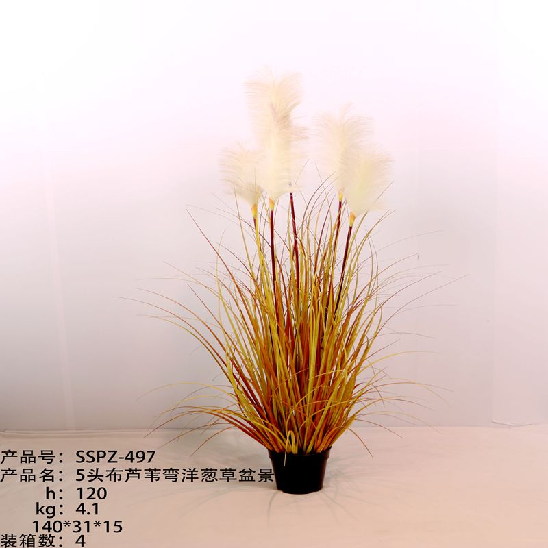 Simulation reed Simulation reed