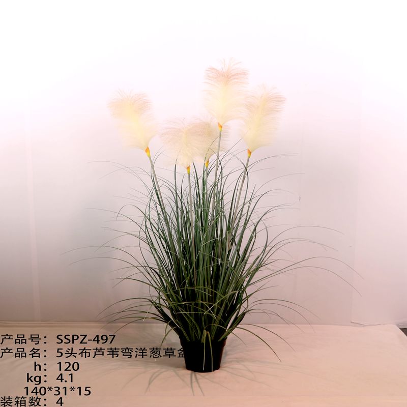 Simulation reed Simulation reed