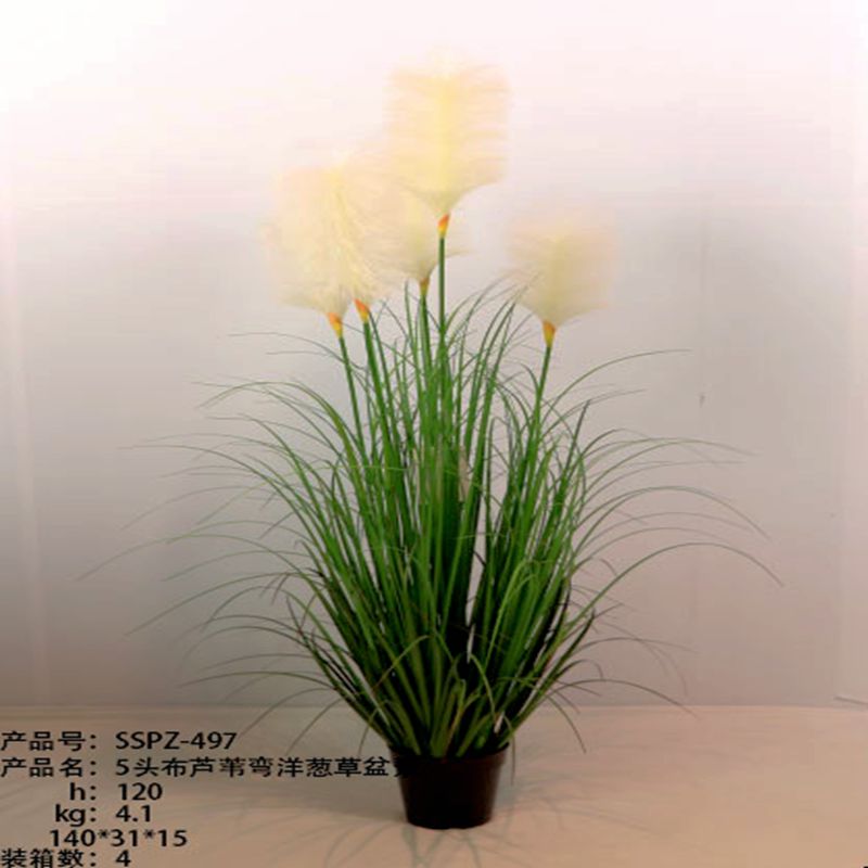 Simulation reed Simulation reed