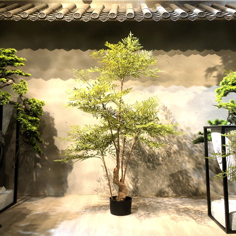 Nantianzhu