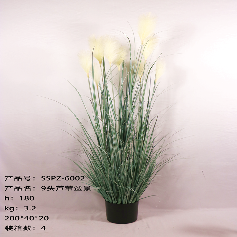 Simulation reed Simulation reed