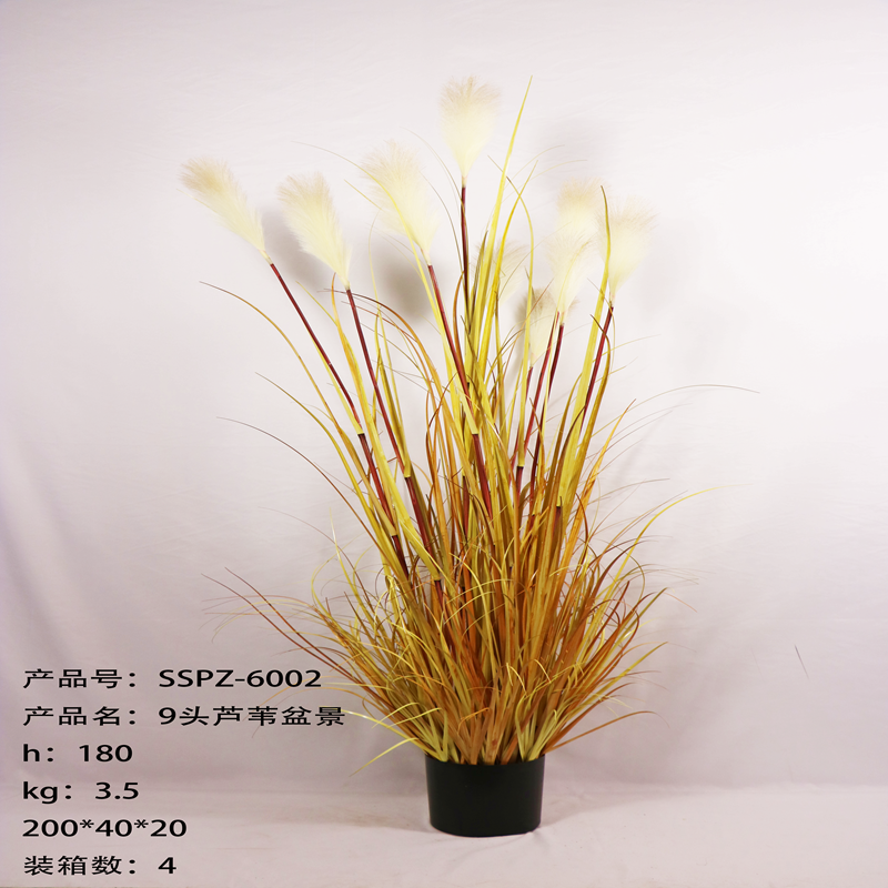 Simulation reed Simulation reed