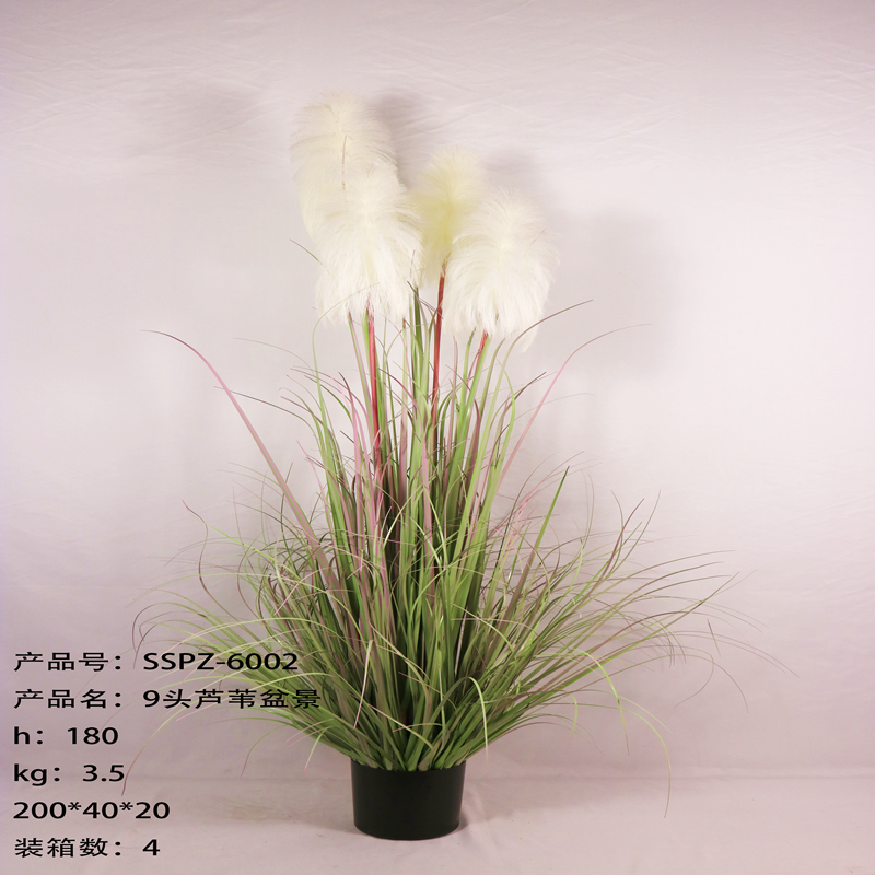 Simulation reed
