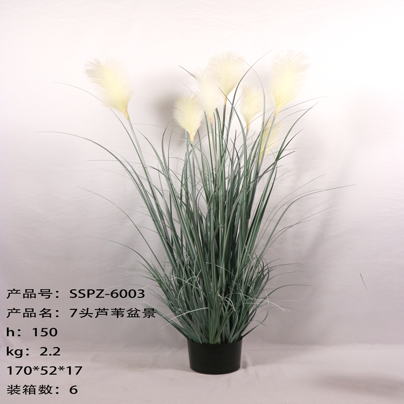 Simulation reed Simulation reed