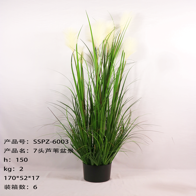 Simulation reed Simulation reed