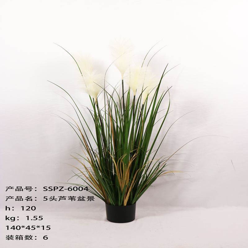 Simulation reed Simulation reed