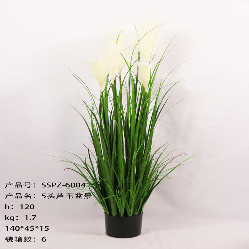 Simulation reed Simulation reed
