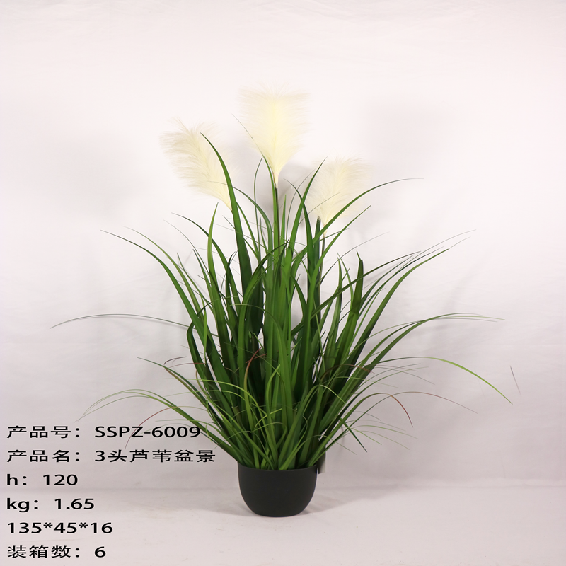 Simulation reed Simulation reed