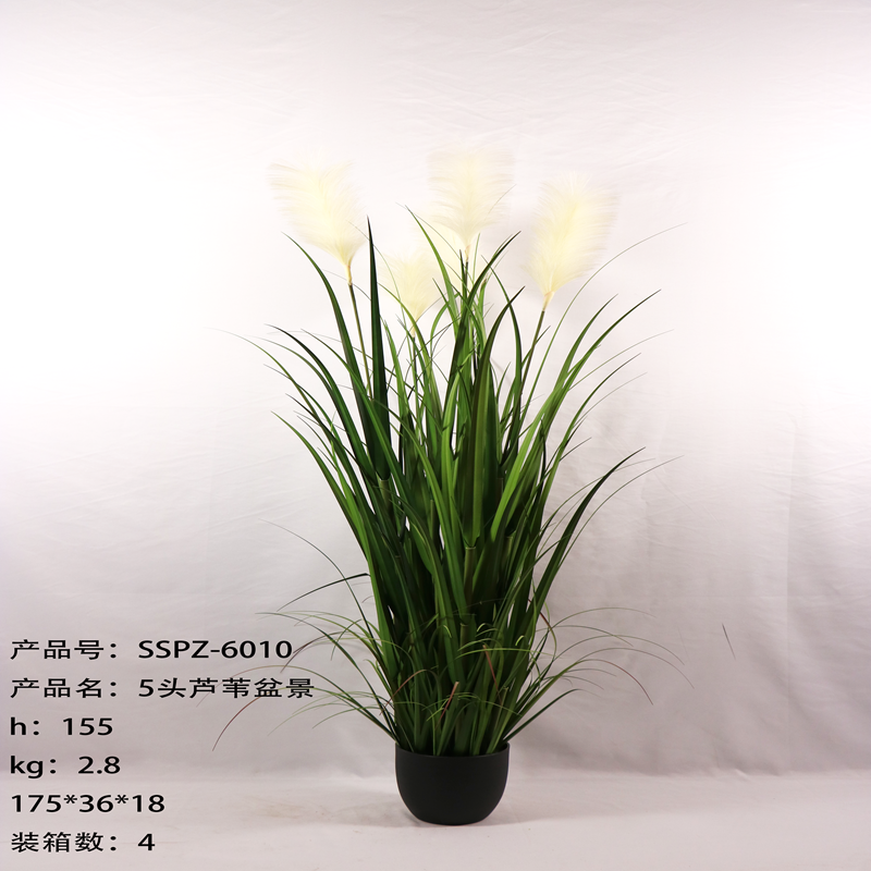 Simulation reed Simulation reed