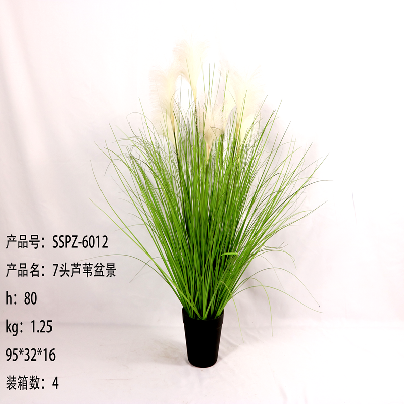 Simulation reed Simulation reed
