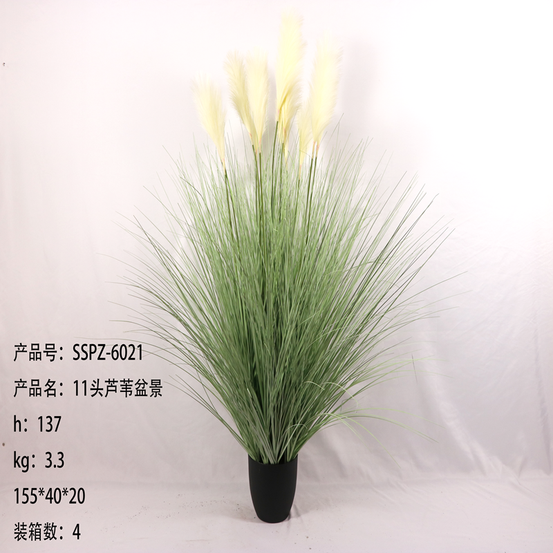 Simulation reed