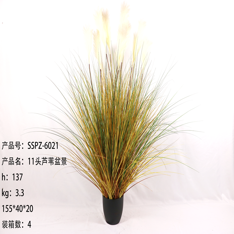 Simulation reed Simulation reed