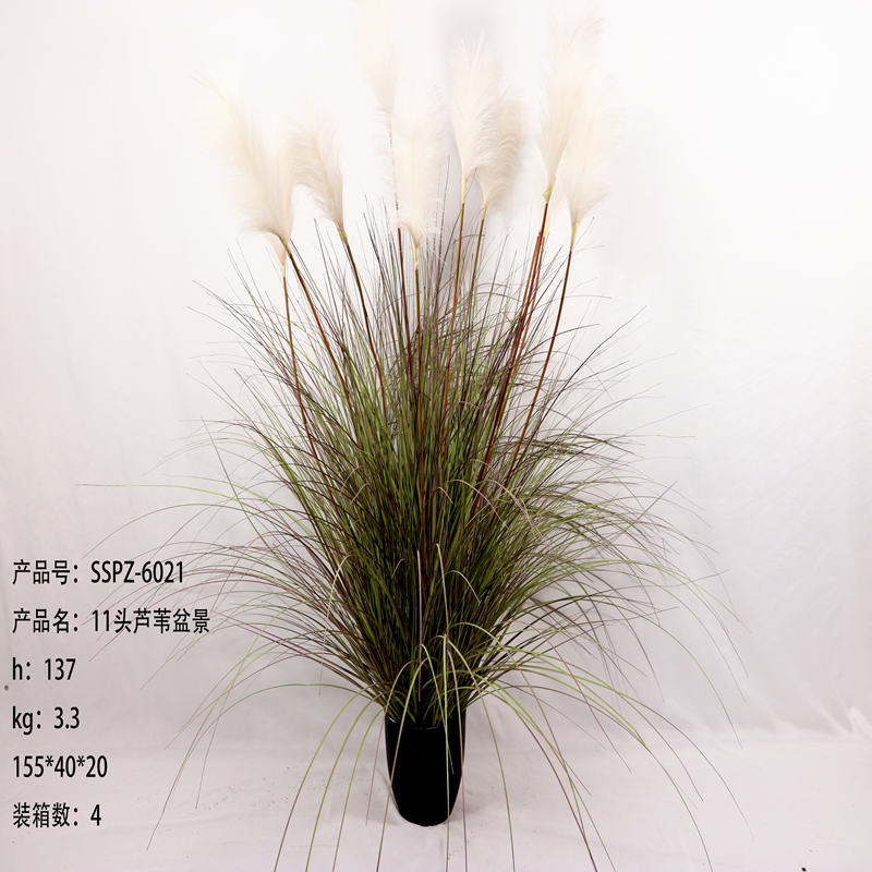 Simulation reed Simulation reed