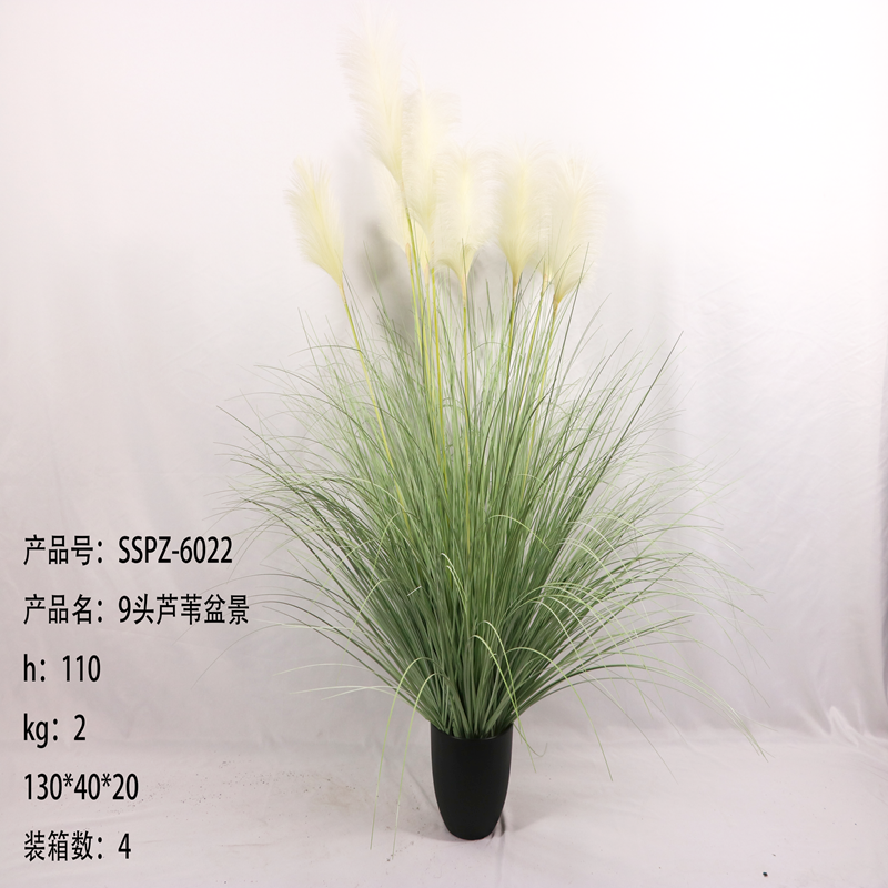 Simulation reed Simulation reed
