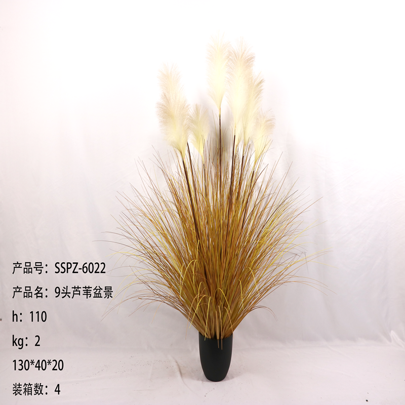 Simulation reed Simulation reed