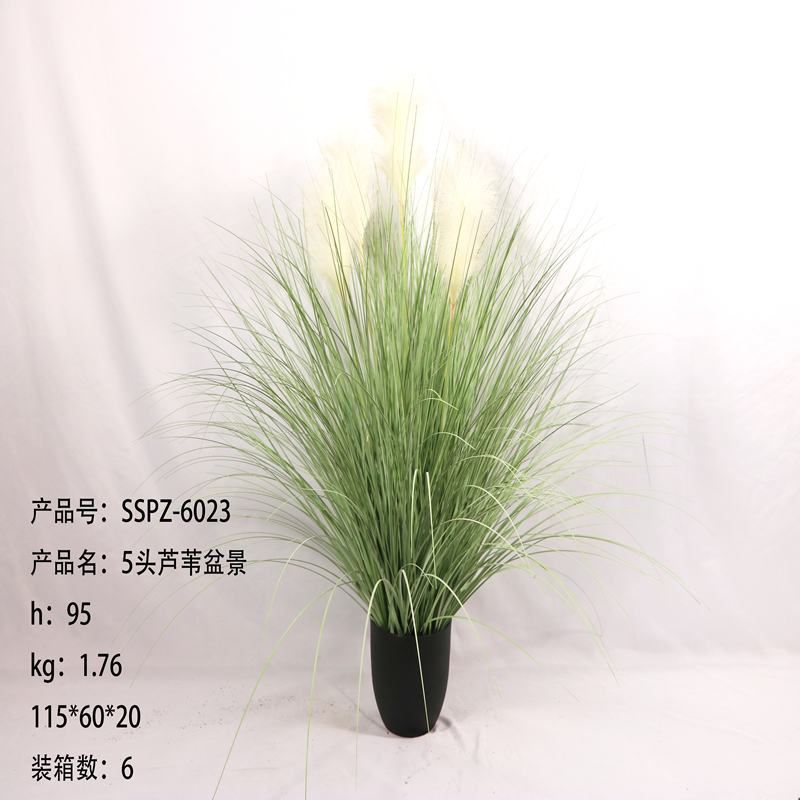 Simulation reed Simulation reed