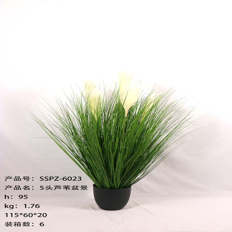 Simulation reed Simulation reed