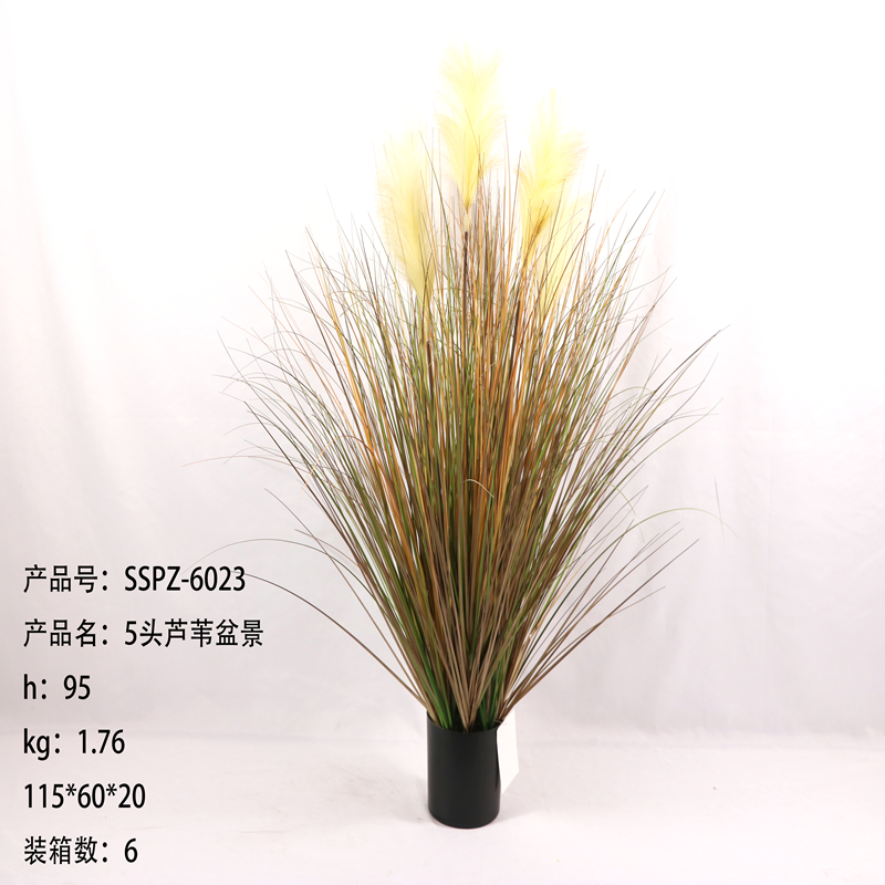 Simulation reed Simulation reed