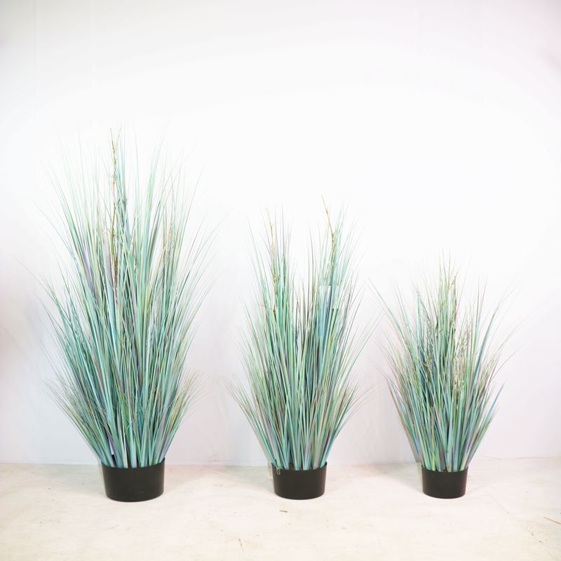 Simulation onion grass