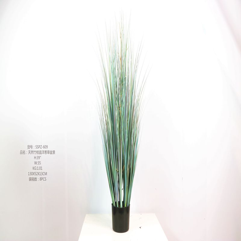 Simulation onion grass Simulation onion grass