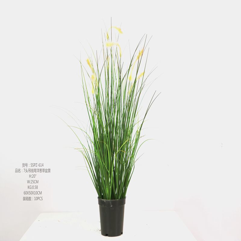 Simulation dog’s tail grass Simulation dog's tail grass