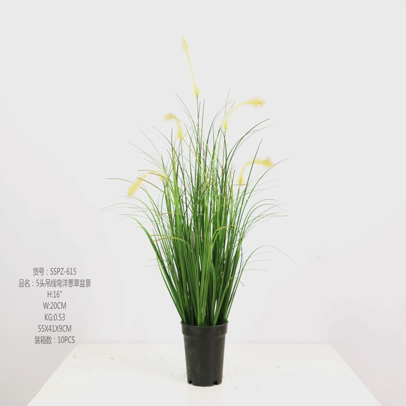 Simulation dog’s tail grass Simulation dog's tail grass