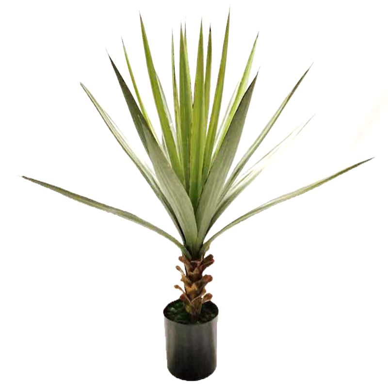 sisal sisal