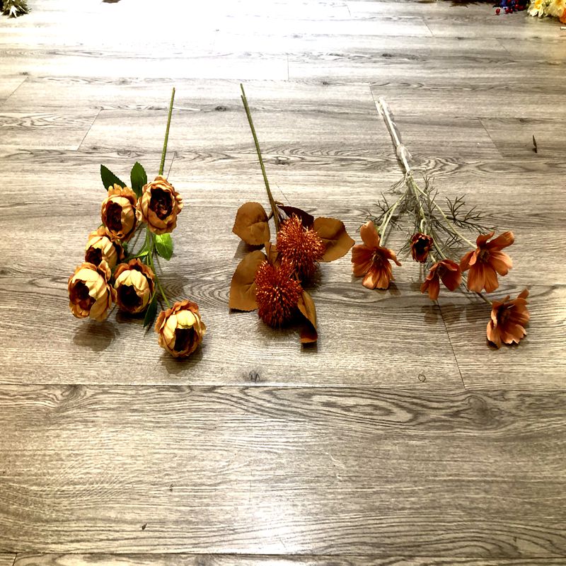 Coffee color flowers