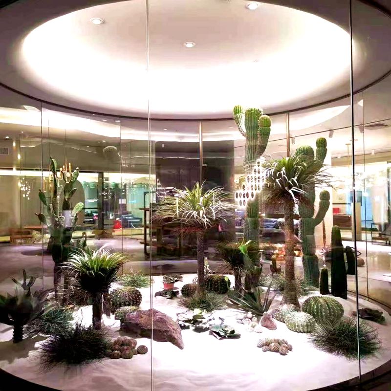 Cactus Cactus