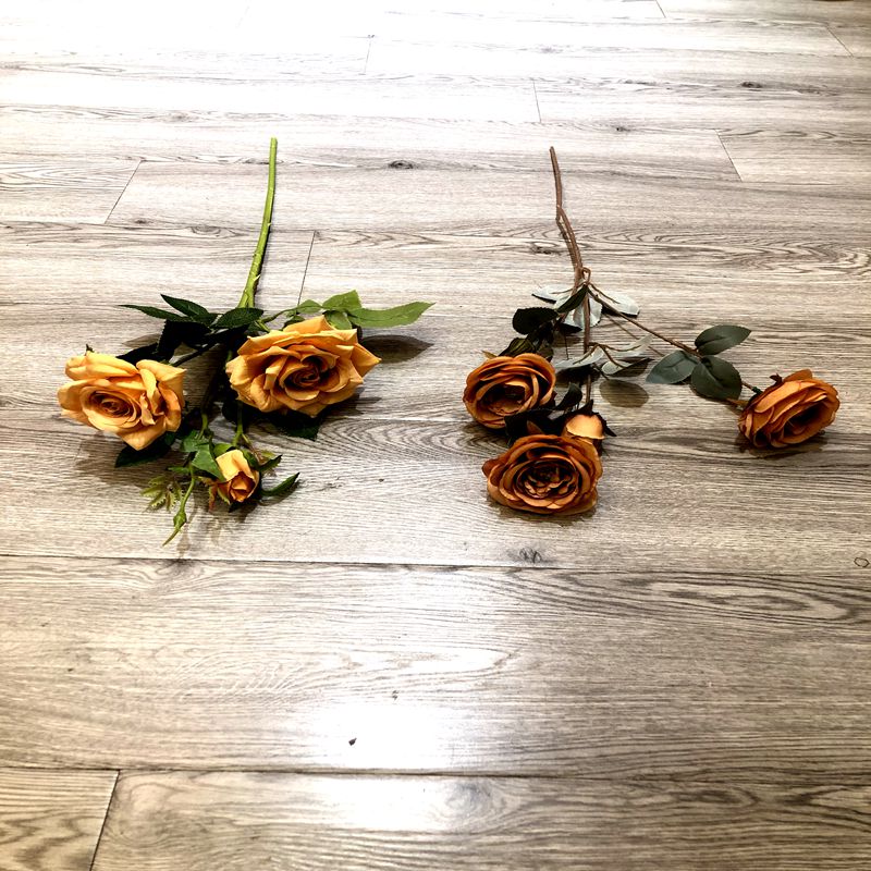 Coffee color flowers