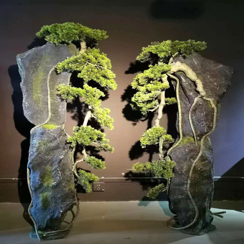 Stone pine Stone pine