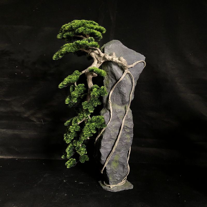 Stone pine-3 Stone pine-3