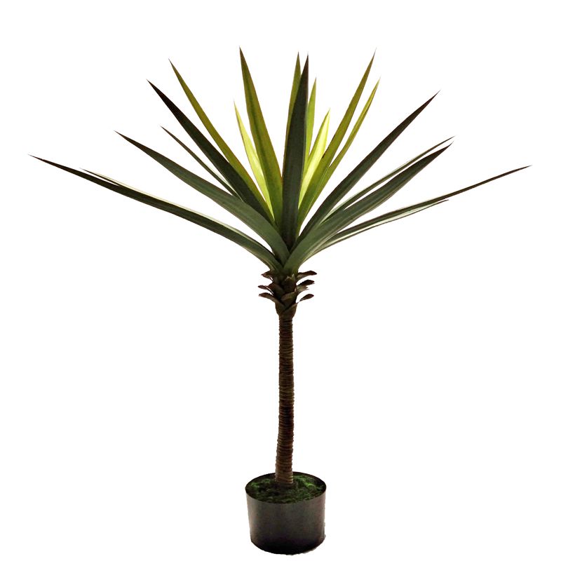 sisal sisal