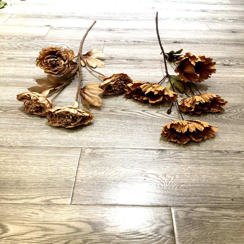Coffee color flowers
