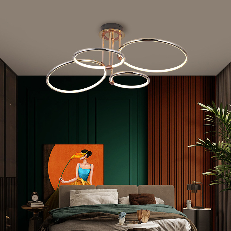 ceiling light (2)