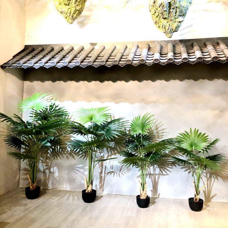 California palm