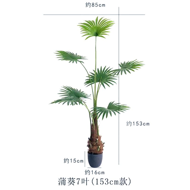 Tang palm palm palm Tang palm palm palm