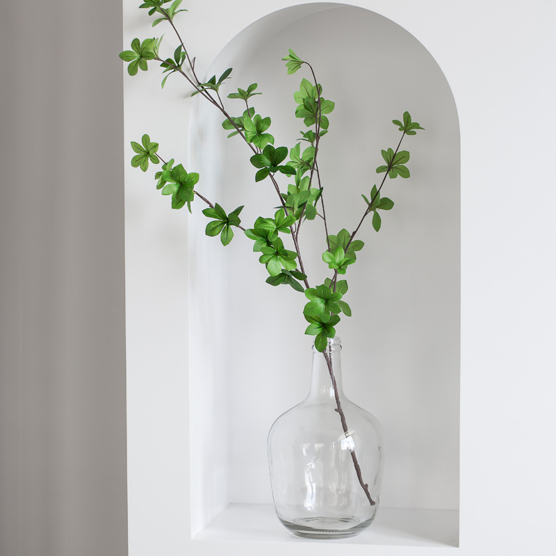 Glass vase transparent 3