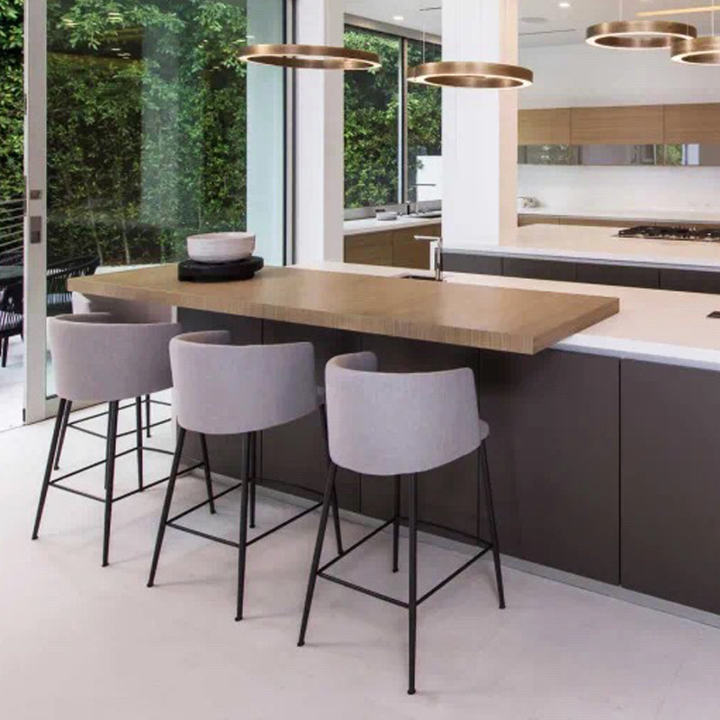 carbon steel velvet bar chair
