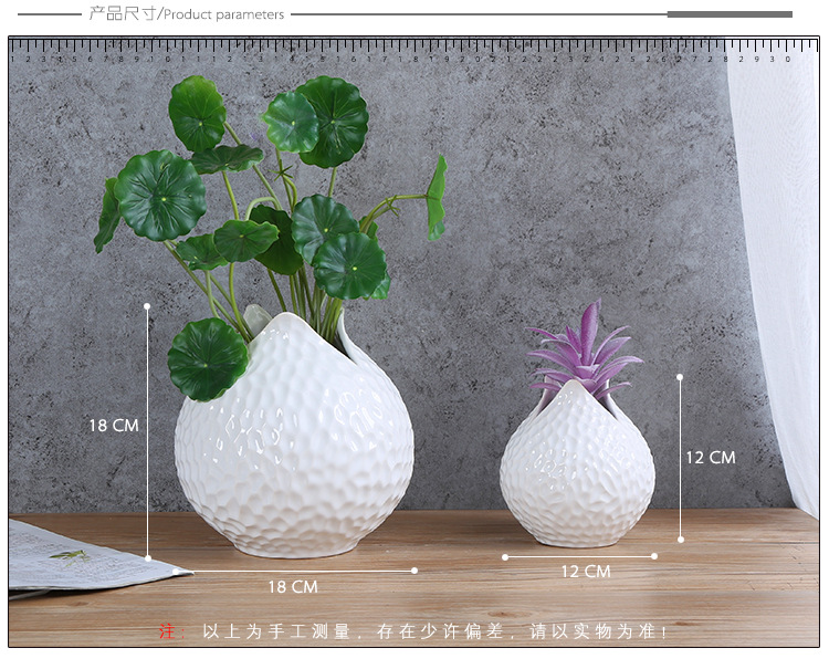 Ceramic vase " seed"
