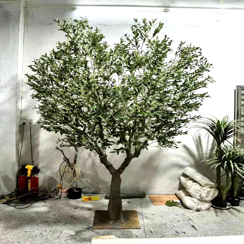Simulation olive tree Simulation olive tree